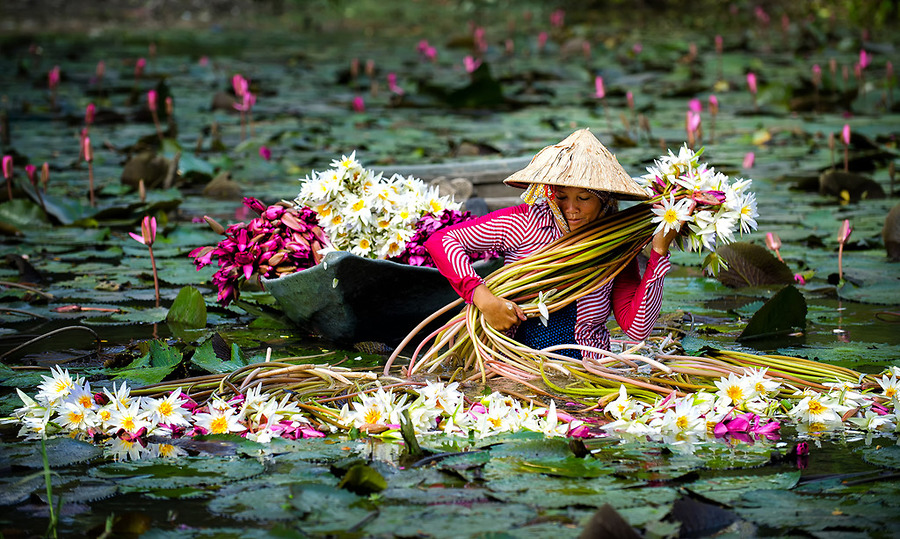 Cảnh quan thiên nhiên Nam Bộ